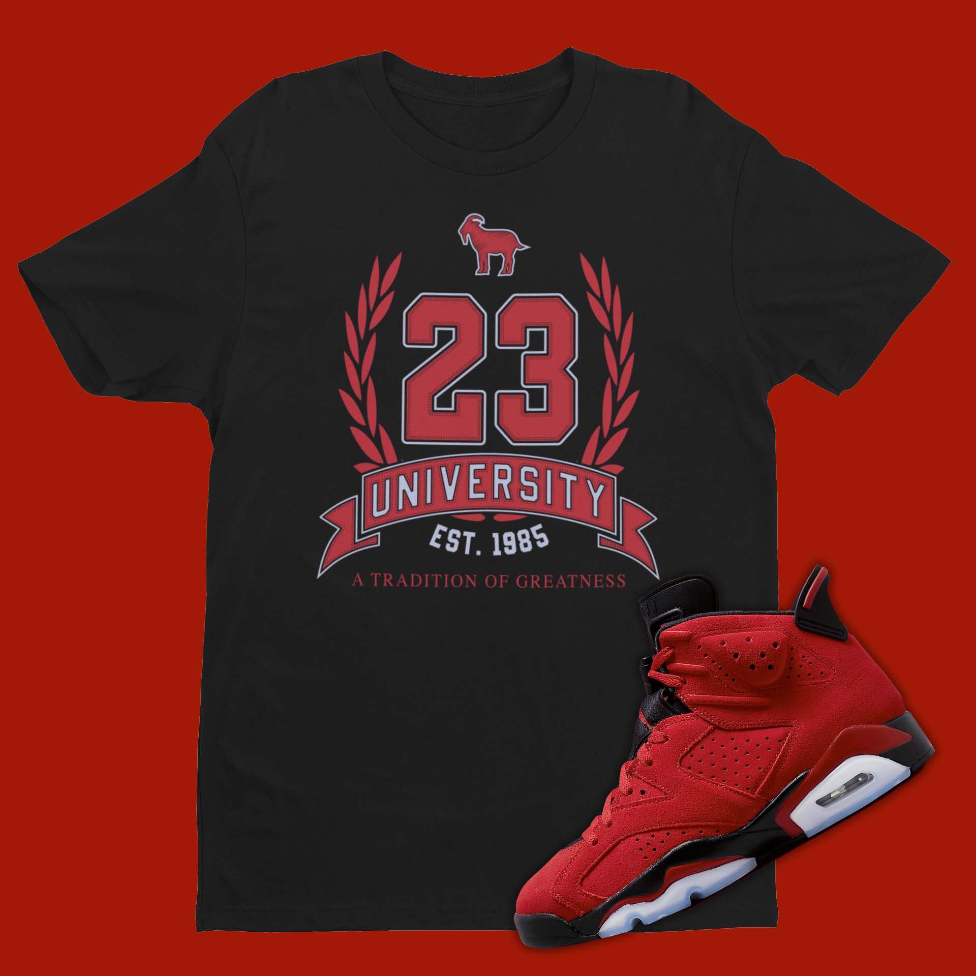 Air jordan 6 shirt online