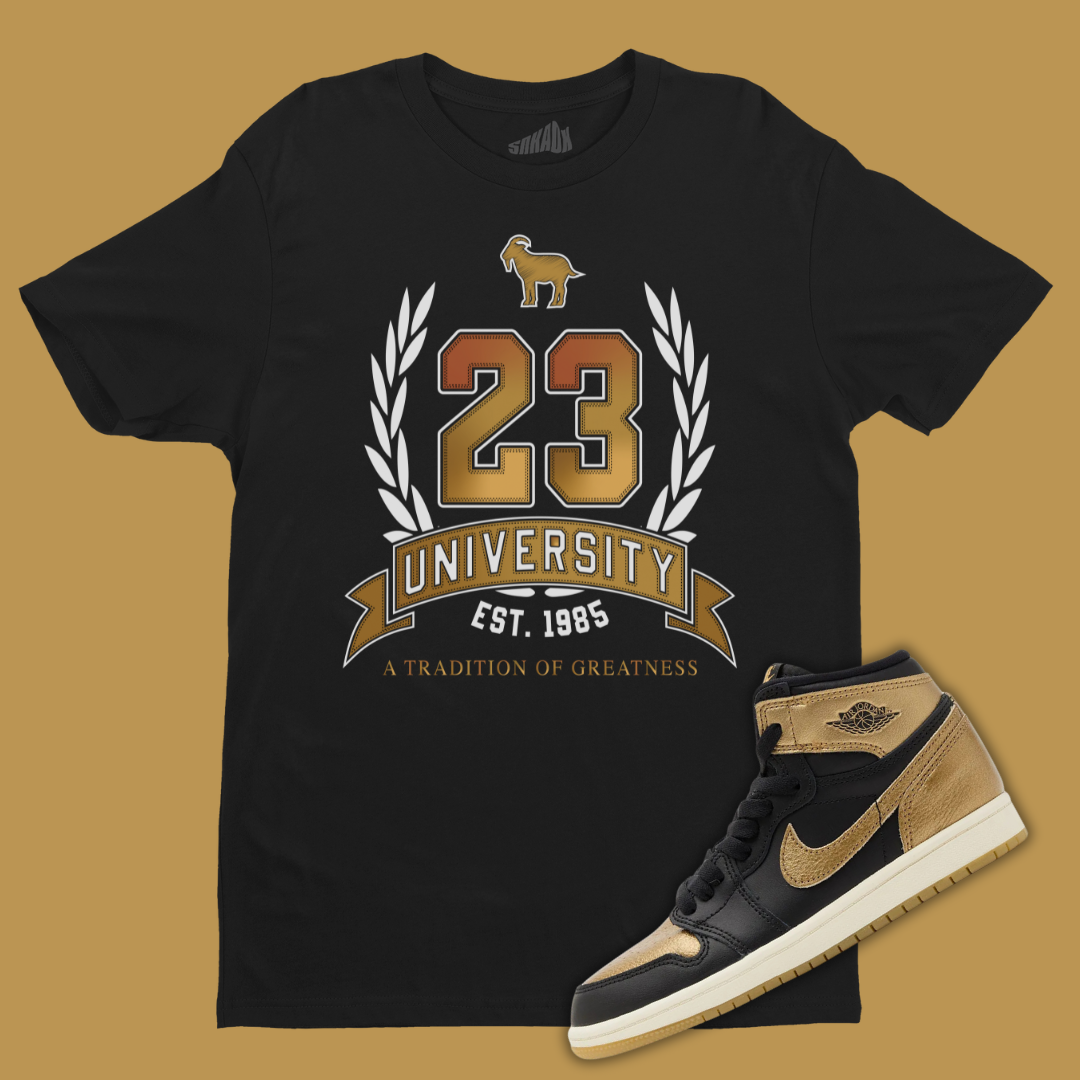 23 University Tee Matching Air Jordan Aerospace 720 6 SNAKDX EverlastsidingShops Jordan 1 High OG Metallic Gold