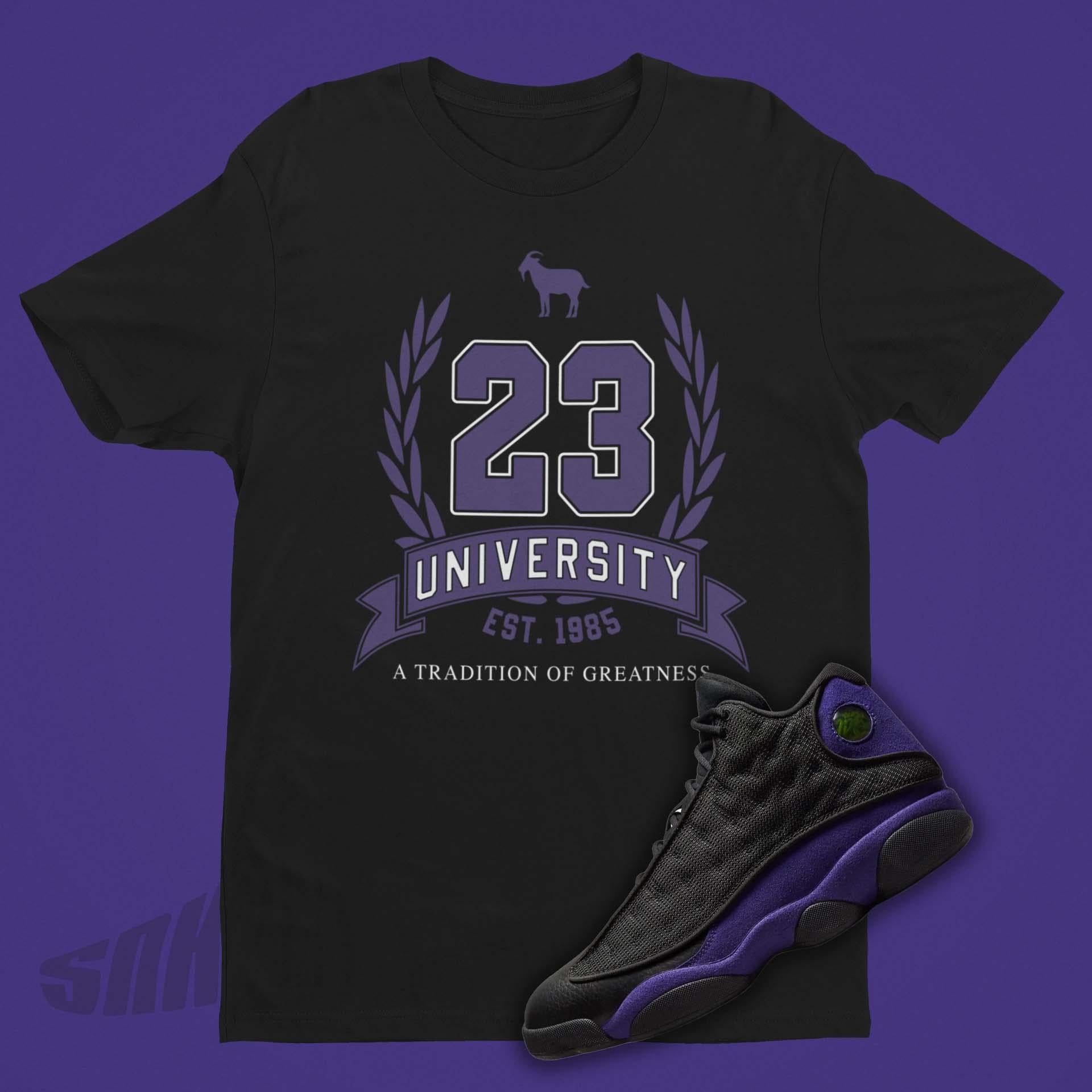 Jordans 23 purple best sale