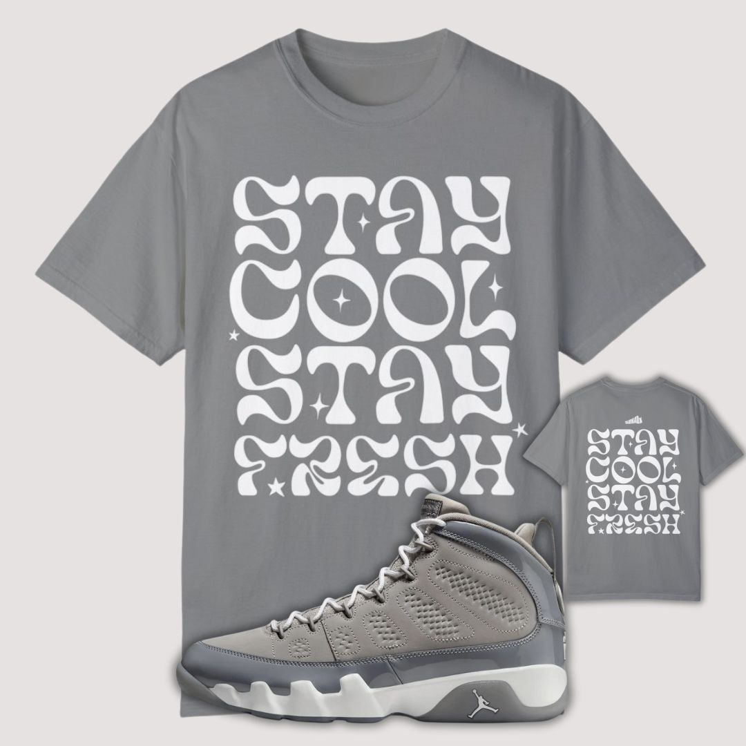 Stay Cool Stay Fresh grey Premium T-shirt Matching Jordan 9 Cool Grey