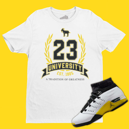 23 University T-Shirt Matching Air Jordan 17 Low Lightning