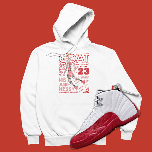 Matching cheap jordan hoodies