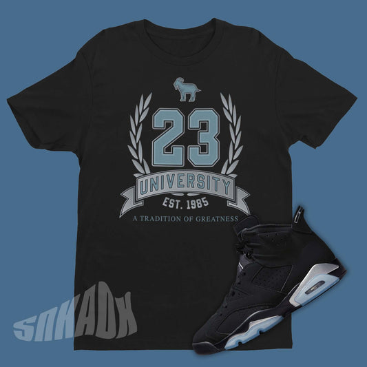 Air Jordan 6 Chrome Matching Shirt