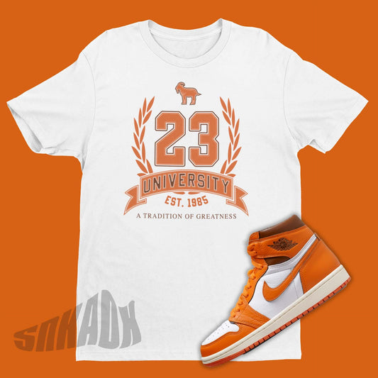 Air Jordan 1 High Starfish matching shirt