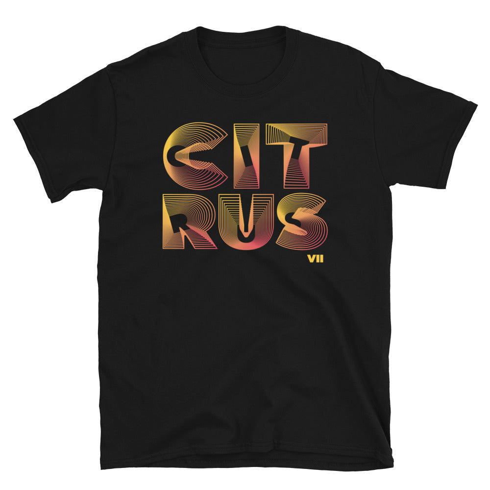 3D Burst Shirt To Match Air Jordan 7 Citrus - SNKADX