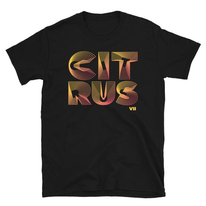 3D Burst Shirt To Match Air Jordan 7 Citrus - SNKADX